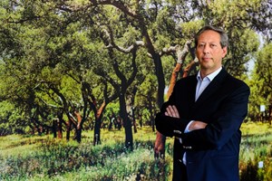 Corticeira Amorim compra Herdade da Baliza por 5,5 milhões