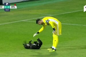 Stray dog invades football pitch in Georgia.mp4