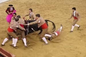 Forcado ferido com gravidade