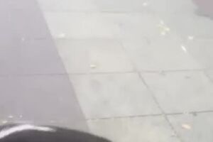 Man Reunited with Dog After 3 Years __ ViralHog.mp4