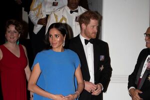 Meghan Harry Fiji 