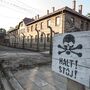 Amazon teve decoração de Natal com imagens de Auschwitz à venda