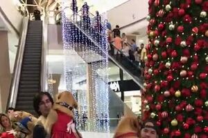 Mall Allows Dogs for a Day  ViralHog.mp4