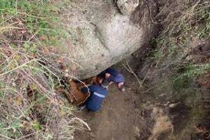 Bombeiro ferido em resgate de vaca em Arcos de Valdevez