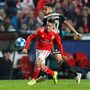 Benfica-Ajax: Grimaldo critica adeptos do clube