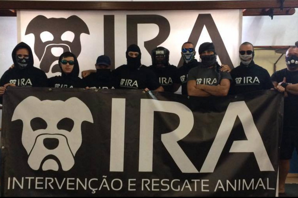 ONG de resgate animal recebe autorização para usar sirenes