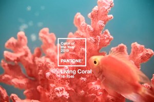 A Pantone já elegeu a cor do ano de 2019