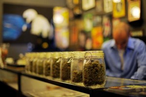 Farmacêutica quer produzir canábis em Vila de Rei