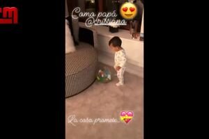 CofinaEditor_2018-12-01_22_00.486764651.mp4