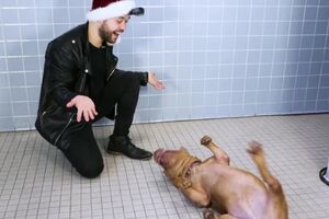 To help get these animal shelter dogs adopted we brought them the magic of th (1).mp4