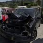 Animais causaram mais de 700 acidentes rodoviários desde 2017
