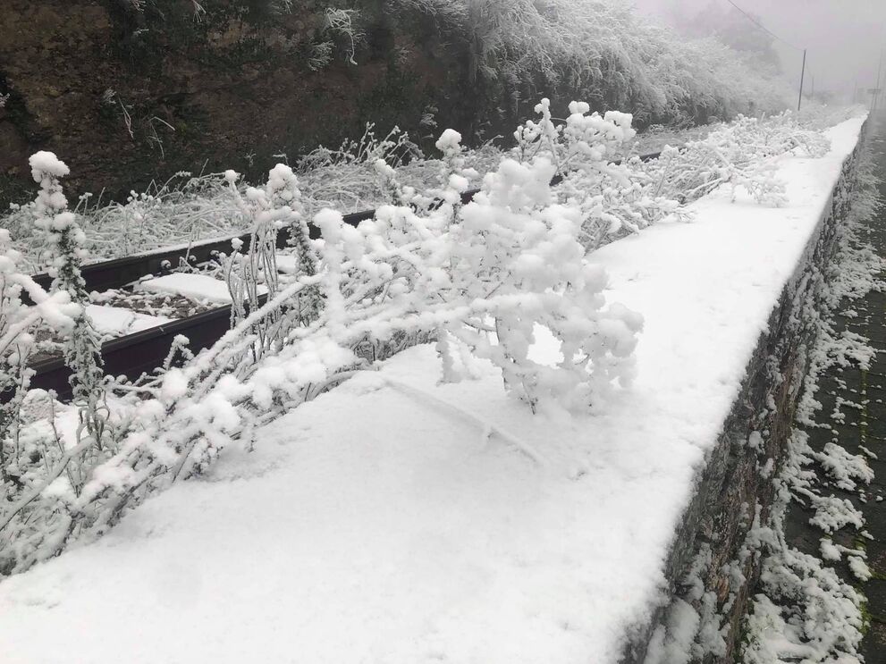 Neve norte de Portugal 