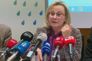 Graça Freitas, Diretora-Geral da Saúde