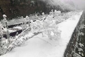 Neve norte de Portugal 