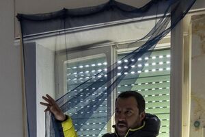 Salvini