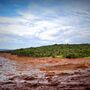 Número de vítimas mortais de Brumadinho volta a subir: há 99 mortos e 259 desaparecidos 