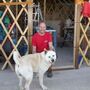 Homem de 45 anos morre em poço em Málaga ao lado do cão