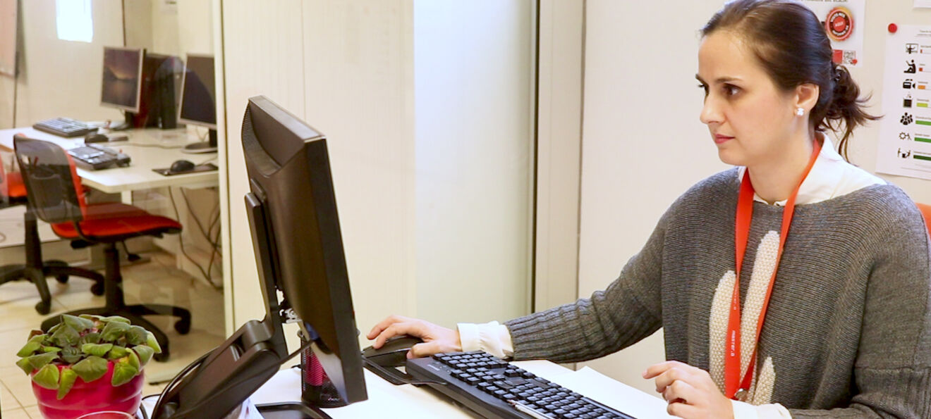 Master D – formação a distância