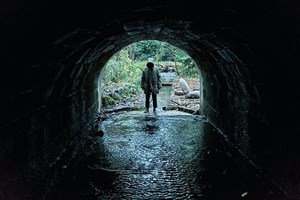 Crítica de Cinema: Noites de Terror