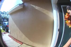 WATCH_ Dogs fetch help for owner suffering stroke, saves her life.mp4