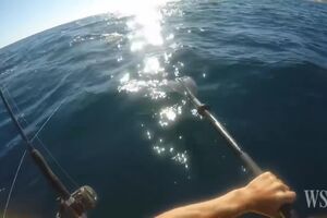 Hammerhead Shark Attacks Kayak Fisherman.mp4