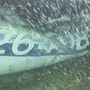 Encontrado corpo nos destroços do avião que transportava Emiliano Sala