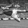Morreu o antigo guarda-redes Gordon Banks 