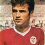 Morreu Frederico Rosa, antigo jogador do Benfica e internacional português
