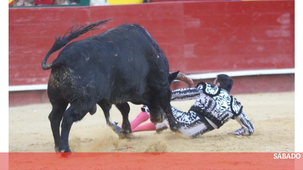 Enrique ponce spanish bullfighter hi-res stock photography and