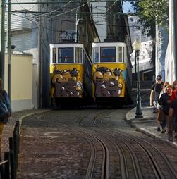 Moedas manda suspender operações de todos os ascensores da cidade