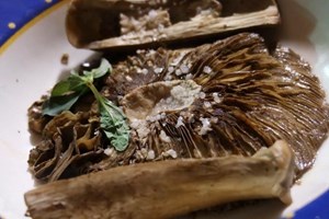 Os cogumelos silarcas invadem Cabeça Gorda para um festival gastronómico