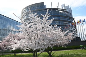 Parlamento Europeu vai acolher centro de despistagem da Covid-19