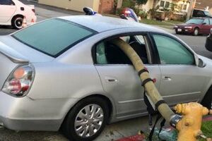 Bombeiros partem janelas de carro mal estacionado para poderem passar mangueira 