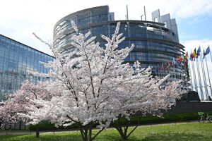 Parlamento Europeu