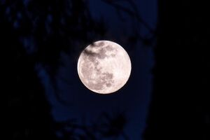 lua 