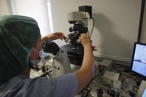 Procriação Medicamente Assistida
