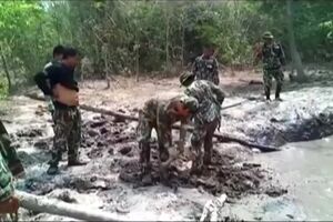 10000000_2491435897533948_3882117129494855680_n.mp4