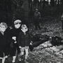 Arqueólogos descobrem local de massacre nazi onde terão morrido 208 pessoas