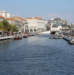 Aveiro vai apostar em videovigilância, mas não quer ser cidade do Big Brother