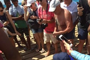 Turistas pagam por fotos com tubarões mortos e esquartejados em Cabo Verde