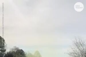 videoplayback (1).mp4