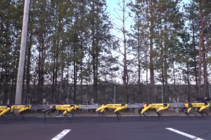 Mush, Spot, Mush!.mp4