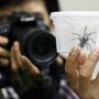 Tarântulas encontradas em pacotes de bolachas em aeroporto