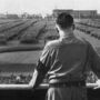 As últimas palavras de Adolf Hitler