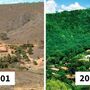 O fotógrafo que salvou uma floresta ao plantar milhões de árvores 