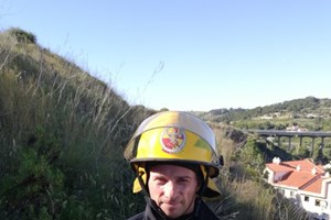 Bombeiros de Paços de Arcos resgatam dois cães bebés