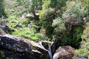 CDS questiona Governo sobre prospeção e exploração de lítio na serra d'Arga