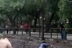 y2mate.com - increible_se_mete_a_los_rinocerontes_por_salvar_su_celular_MkwHHgAQwtY_360p.mp4