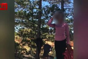 CofinaEditor_2019-05-29_16_25.517336985.mp4