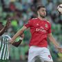 Benfica, a pousada da juventude